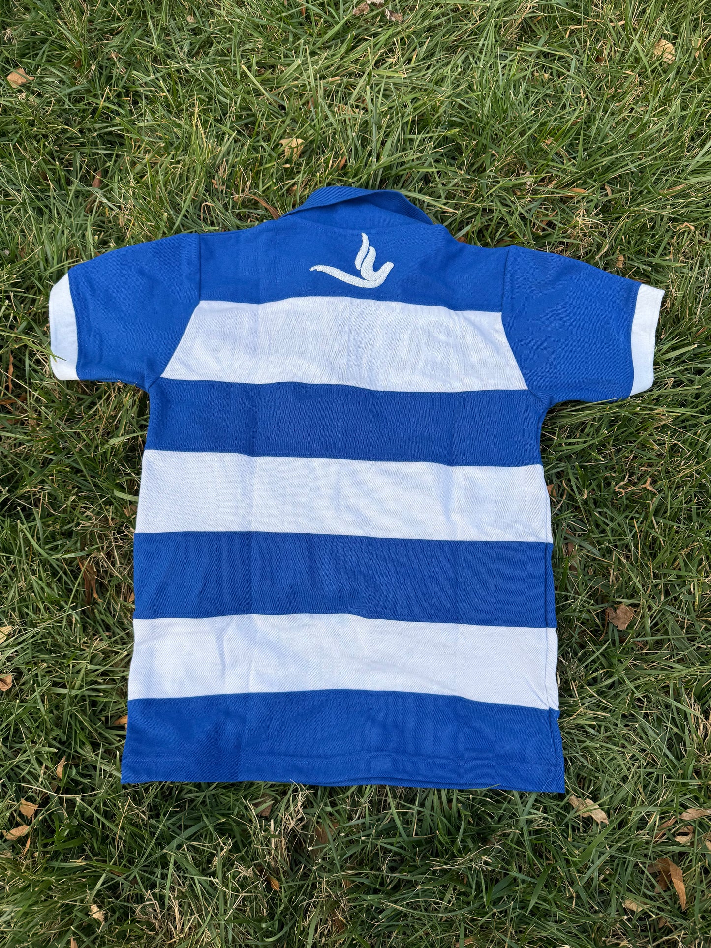 Zeta Phi Beta chenille polo