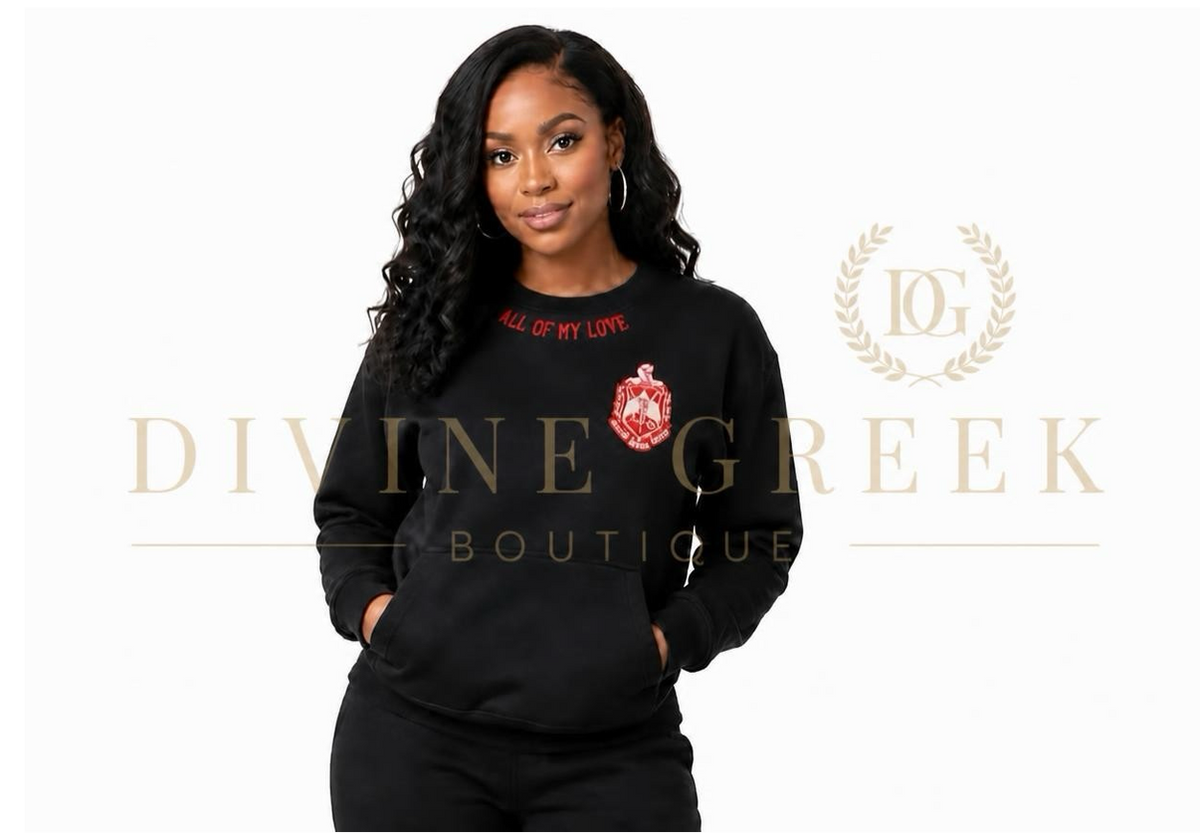 Delta Sigma Theta chenille unisex sweatshirt with POCKETS