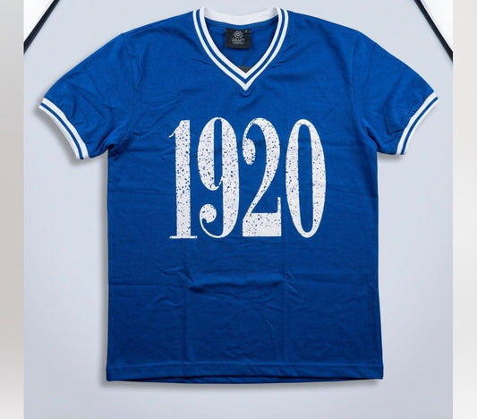 Zeta Phi Beta V-neck T-shirt, unisex