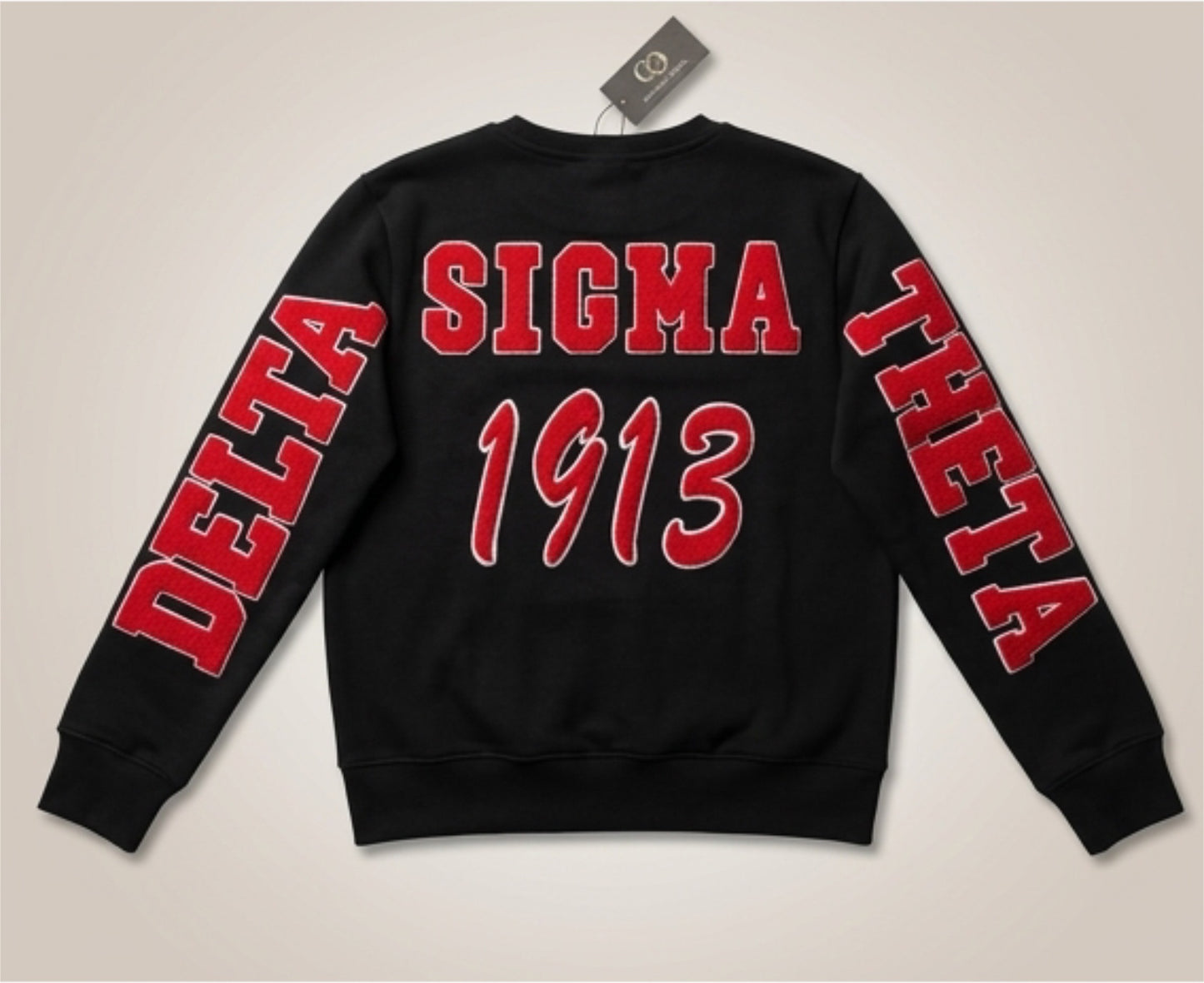 Delta Sigma Theta chenille unisex sweatshirt with POCKETS