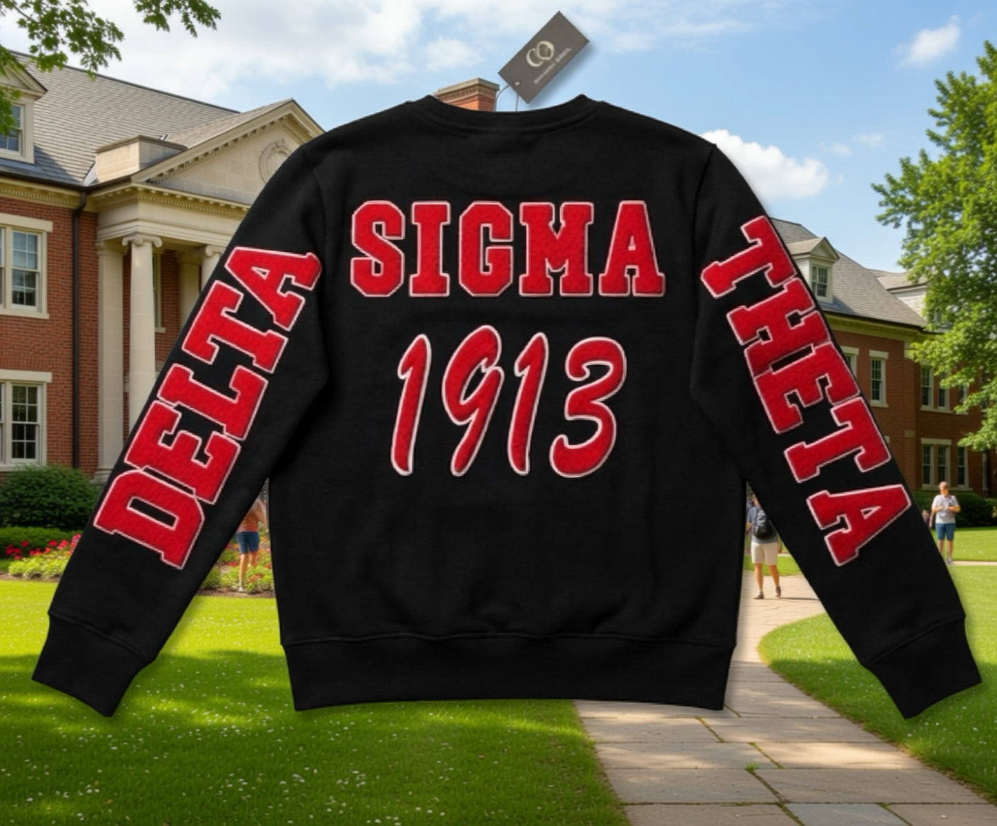 Delta Sigma Theta chenille unisex sweatshirt with POCKETS