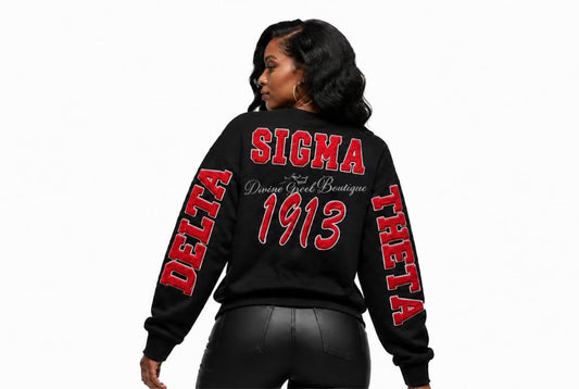 Delta Sigma Theta chenille unisex sweatshirt with POCKETS