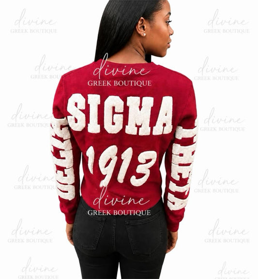 Delta Sigma Theta chenille unisex sweatshirt